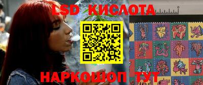 spice Кингисепп