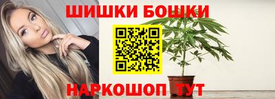 spice Кингисепп