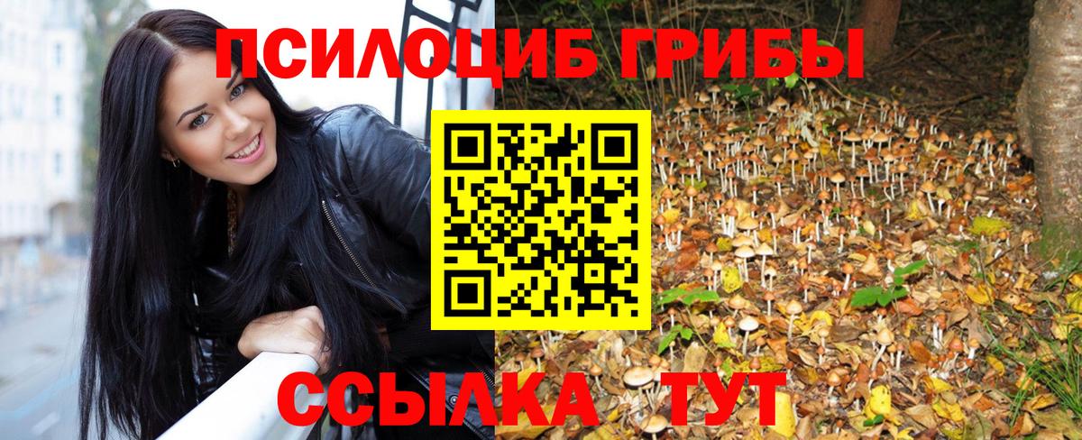 Бирск  Галлюциногенные грибы Psilocybine cubensis  Вход с VPN  Псилоцибиновые грибы MAGIC MUSHROOMS 